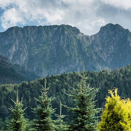 Rent Like Home - Skibowki Zakopane Ngoại thất bức ảnh