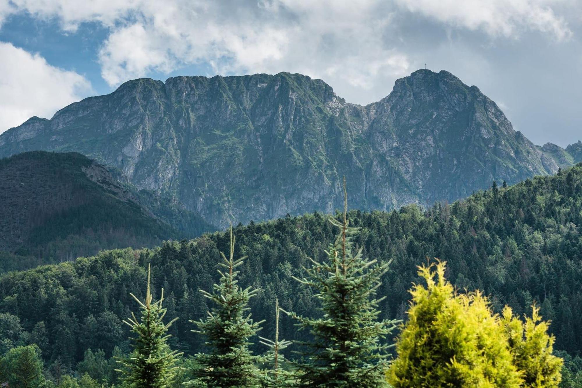 Rent Like Home - Skibowki Zakopane Ngoại thất bức ảnh